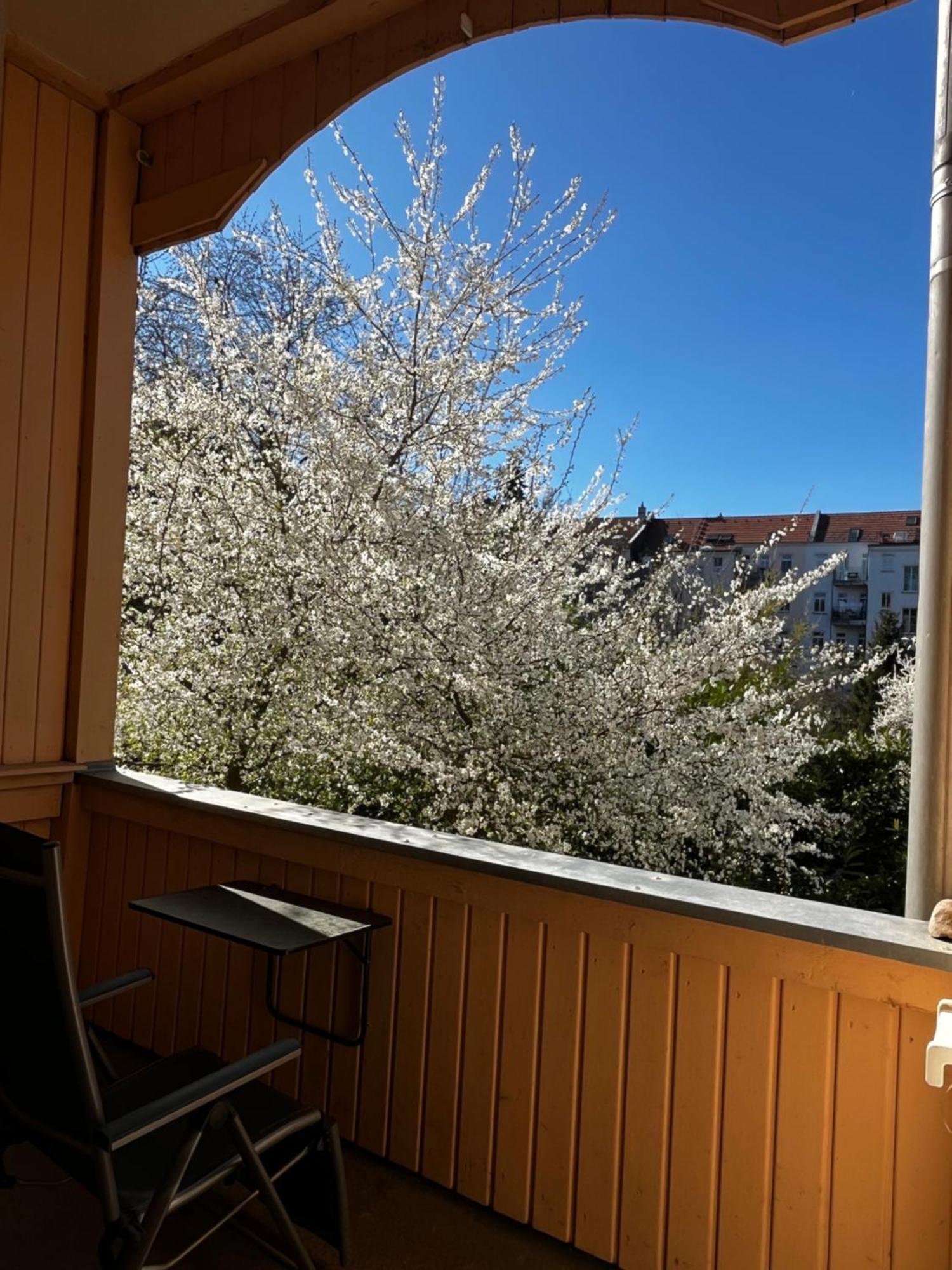 Stilvolles Quartier In Zentrumsnaehe Privatunterkunft *